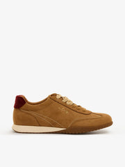 36